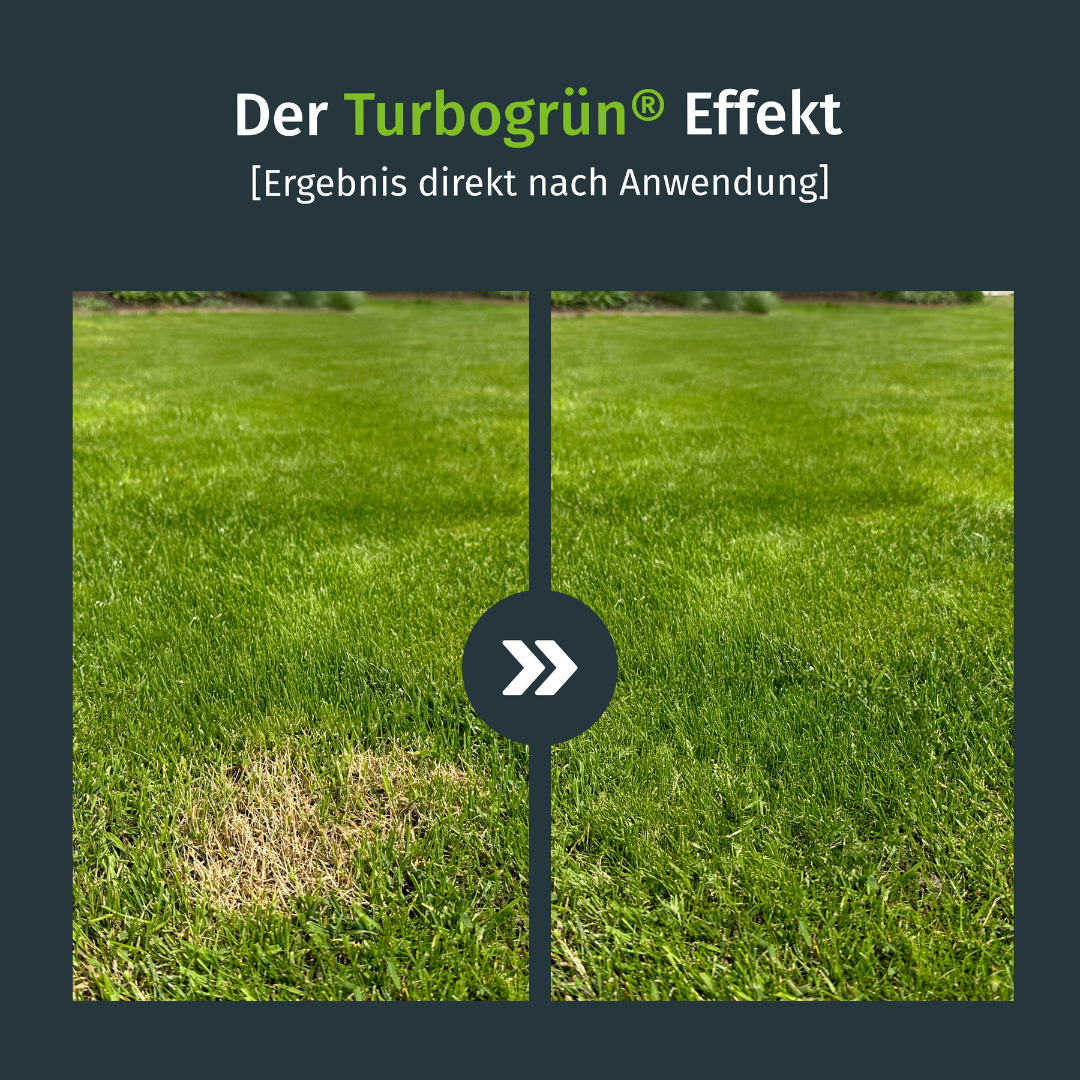 Vorher Nachher